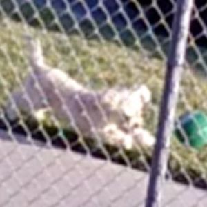 Meet your Posher, Erik